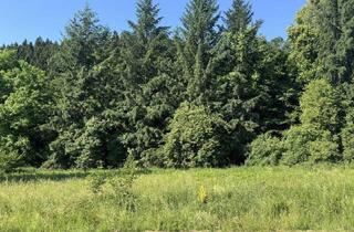 Grundstück zu kaufen in Pudlach, 9155 Pudlach, Grundstücksflächen mit Bauland-Anteil und landwirtschaftlichem Nutzungspotenzial in Pudlach bei Lavamünd