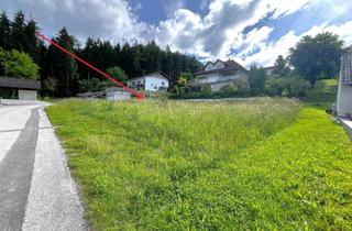 Grundstück zu kaufen in 4843 Ampflwang, Baugrund in Siedlungslage ohne Bauzwang!