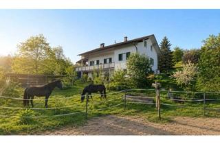 Haus kaufen in 8342 Gnas, Deine Pferde und Du - im Vulkanland Steiermark bei Feldbach