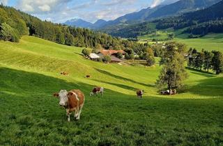 Haus kaufen in Winkl-Sonnseite 23, 6380 Sankt Johann in Tirol, die TRAUMLAGE