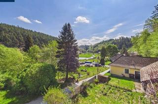 Einfamilienhaus kaufen in 3814 Liebenberg, Einfamilienhaus in Sauggern - Kollmitzgraben | Naturlage mit Blick zur Ruine Kollmitz