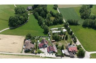 Haus kaufen in 5261 Helpfau, Ländliches Anwesen mit insgesamt ca.14.000 m² Grund