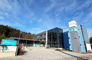 Büro zu mieten in 8301 Laßnitzhöhe, PROVISIONSFREI - Laßnitzhöhe - lichtdurchflutete Büroräumlichkeiten!