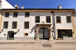 Büro zu mieten in 2700 Wiener Neustadt, Da geht einem das Herz auf! Außergewöhnliche Mietfläche mit schattigem Arkadengang | 3 Zimmer | Nächst Hauptplatz