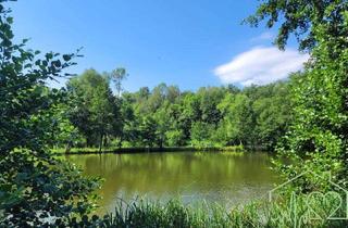 Grundstück zu kaufen in 7461 Goberling, Naturparadies mit Fischteich, Fischerhütte und Wasserrechten - nahe Stadtschlaining