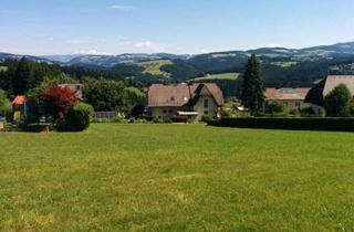 Grundstück zu kaufen in Berggasse 37 (daneben), 8190 Birkfeld, Schönes großes Grundstück mit Fernblick