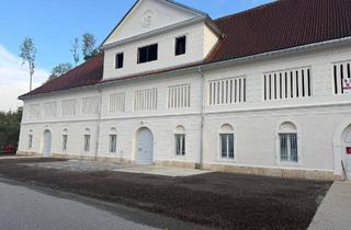 Lager mieten in Töscheldorf, 9330 Althofen, Büro-/Geschäfts-/- Lagerräume mit historischen Charm im Wirtschaftsgebäude von Schloss Töscheldorf