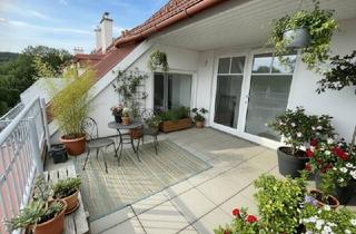 Wohnung kaufen in 2340 Mödling, Charmante 4 Zimmerwohnung mit 2 Terrassen in Grünruhelage