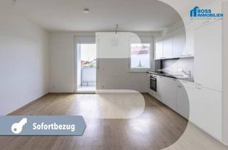 Wohnung mieten in Zentastraße 4a, 4061 Langholzfeld, Madera