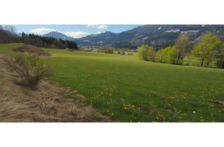Grundstück zu kaufen in 9771 Berg, Neuer Preis......sonniger Baugrund mit Ausblick