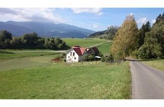 Einfamilienhaus kaufen in 8820 Neumarkt in Steiermark, idyllisch gelegenes Einfamilienhaus