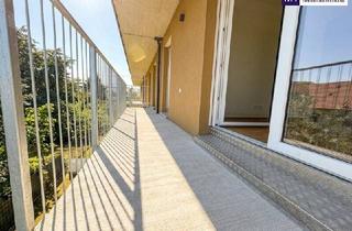 Wohnung kaufen in Zirbenweg, 8401 Kalsdorf bei Graz, Wohnen im Grünen – Exklusives Wohnbauprojekt am Zirbenweg in Kalsdorf bei Graz- Ruhe, Weitblick und moderne Wohnqualität vor den Toren von Graz