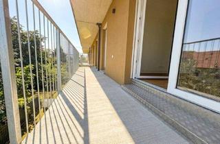 Wohnung kaufen in Zirbenweg, 8401 Kalsdorf bei Graz, Wohnen im Grünen – Exklusives Wohnbauprojekt am Zirbenweg in Kalsdorf bei Graz- Ruhe, Weitblick und moderne Wohnqualität vor den Toren von Graz