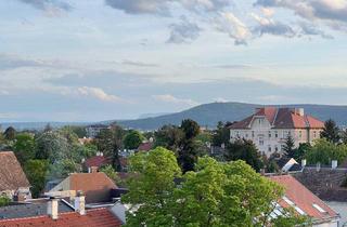 Wohnung kaufen in 2500 Baden, Traumhafter Ausblick unterm Dach!