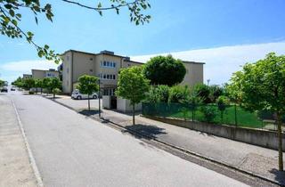 Wohnung mieten in Schlossgasse 6-8, 3240 Mank, MANK III, geförderte Mietwohnung mit Kaufoption, DG Top10, 1000/00010460/00001210