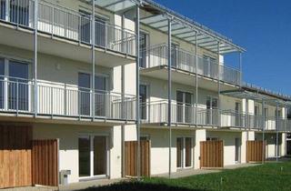 Genossenschaftswohnung in Schulstraße 4/3, 8431 Gralla, Helle - 3-Zimmerwohnung im Erdgeschoss mit Terrasse und Privatgarten - geförderte Miete ODER geförderte Miete mit Kaufoption - 3 Zimmer