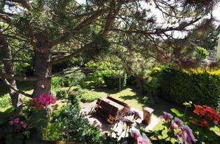 Einfamilienhaus kaufen in 2560 Berndorf, Ihr Sommerrefugium nahe Wien mit 1300 m² Garten – Pool, Obstgarten und Natur genießen