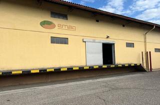Lager kaufen in Frachtenbahnhof, 9020 Klagenfurt, Lagerhalle am Klagenfurter Frachtenbahnhof