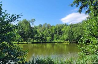 Grundstück zu kaufen in Stadtschlaining, 7461 Goberling, Naturparadies mit Fischteich, Fischerhütte und Wasserrechten - Nahe Stadtschlaining
