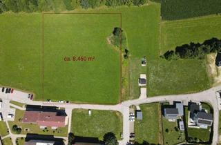 Grundstück zu kaufen in Klopeiner See, 9122 Sankt Kanzian am Klopeiner See, Bauträgergrundstück mit Potenzial