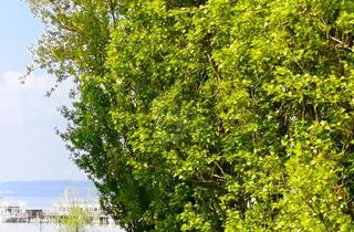 Einfamilienhaus kaufen in 7141 Podersdorf am See, Einmalige Lage am Neusiedlersee mit Bestehendem Haus