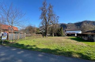 Grundstück zu kaufen in 6845 Hohenems, Sehr ruhig gelegenes Traumgrundstück nahe dem neuen Hohenemser Zentrum