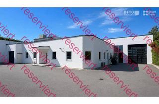 Büro zu mieten in Rautenweg, 1220 Wien, Betriebsobjekt im 22. Bezirk/Rautenweg