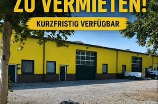 Gewerbeimmobilie mieten in 2454 Trautmannsdorf an der Leitha, Moderne Gewerbe- & Lagerhallen | 205–280 m² | Trautmannsdorf an der Leitha