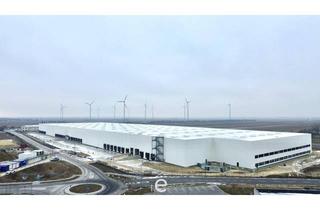 Büro zu mieten in 2421 Kittsee, Direkt an der Grenze zwischen Österreich und Slowakei I Lager- und Produktionshalle ab rd. 3.900 m² zu mieten