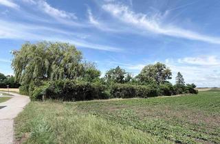 Haus mieten in 2432 Schwadorf, Privates Naturrefugium bei Wien – 2.340 m² parkähnlicher Garten ohne Nachbarn & mit Weitblick