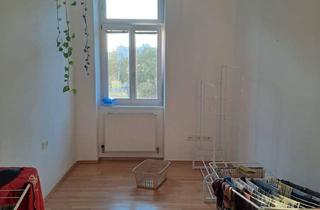 WG-Zimmer mieten in Stralehnergasse 15, 1220 Wien, Zwischenmiete in Heller Altbauwohnung Stadlau Juli & August