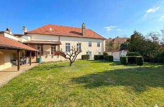 Haus kaufen in 3580 Horn, Vollvermietetes Zinshaus im Zentrum von Horn – 6,9 % Rendite!