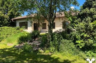 Einfamilienhaus kaufen in 2620 Peisching, Ihr Persönliches Paradies mit Bungalow und Nebengebäuden
