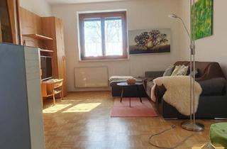 Wohnung kaufen in Großsteinbach, 8262 Ilz, Renovierungsbedürftige Zwei-Zimmer-Hochparterrewohnung mit Balkon, 2 Kellerräume und überdachtem Parkplatz zu kaufen.