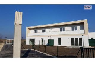 Wohnung mieten in Kammersdorf 225, 2033 Kammersdorf, Junges Wohnen mit Garten in Kammersdorf Top 2