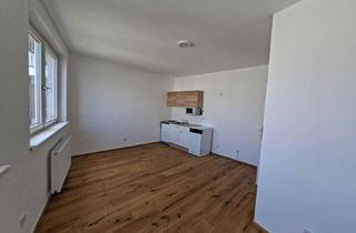 Wohnung mieten in Gudrunstraße, 1100 Wien, Gudrunstraße: Helle 3-Zimmer Wohnung