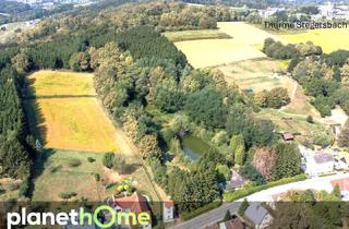 Haus kaufen in Steinbacher Straße, 7551 Stegersbach, 2,3 Hektar unberührte Naturidylle mit eigenem See!