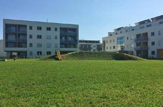 Wohnung mieten in Römerstraße 85/5, 8401 Kalsdorf bei Graz, Helle 2‑Zimmer‑Wohnung mit Loggia & Grünblick – Ruhiges Wohnen in Kalsdorf bei Graz - geförderte Miete - 2 Zimmer