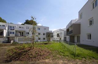 Wohnung mieten in Hammergasse 3-5, 3150 Wilhelmsburg, Schöne Gartenwohnung in ruhiger Lage
