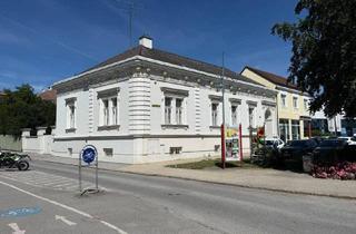 Haus kaufen in 2130 Mistelbach, Mistelbacher Bestlage - zentrale Grünlage - Widmung: Bauland Kerngebiet