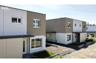 Haus mieten in 3462 Absdorf, Mietkauf, moderne Doppelhaushälften Nähe Tulln