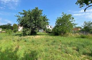 Grundstück zu kaufen in 2492 Zillingdorf, Baugrundstück im Ortskern von Zillingdorf