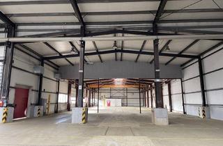 Gewerbeimmobilie mieten in 4481 Asten, Lagerhalle mit rd. 7 bis 9 Meter Hallenhöhe, beheizbar, diversen Krananlagen, Freiflächen etc. in Asten zu vermieten!