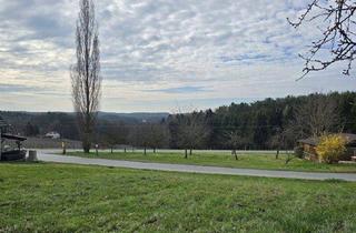 Grundstück zu kaufen in 8224 Hofkirchen, Großes Grundstück