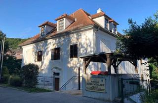 Wohnung mieten in Seilerweg 31/5, 3500 Krems an der Donau, Seilerweg 31/5