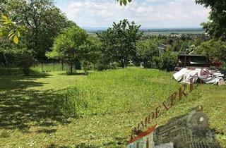 Grundstück zu kaufen in 2452 Mannersdorf am Leithagebirge, Sehr gut gelegenes Grundstück in Mannersdorf am Leithagebirge mit wunderschönen Weitblick