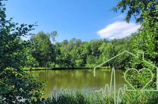 Grundstück zu kaufen in 7461 Stadtschlaining, Naturparadies mit Fischteich, Fischerhütte und Wasserrechten - nahe Stadtschlaining