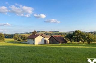 Haus kaufen in 4753 Taiskirchen im Innkreis, Sacherl mit 4,7ha Grund, Einliegerwohnung und Vielen Nutzungsmöglichkeiten