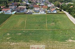 Grundstück zu kaufen in 4614 Marchtrenk, 3 Gewerbegrundstücke in Marchtrenk Zw. 1000 und 1080 m² - Widmung Mb