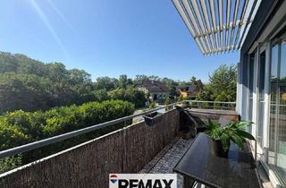 Wohnung kaufen in 2482 Münchendorf, "WOHNgefühl mit Qualität!"